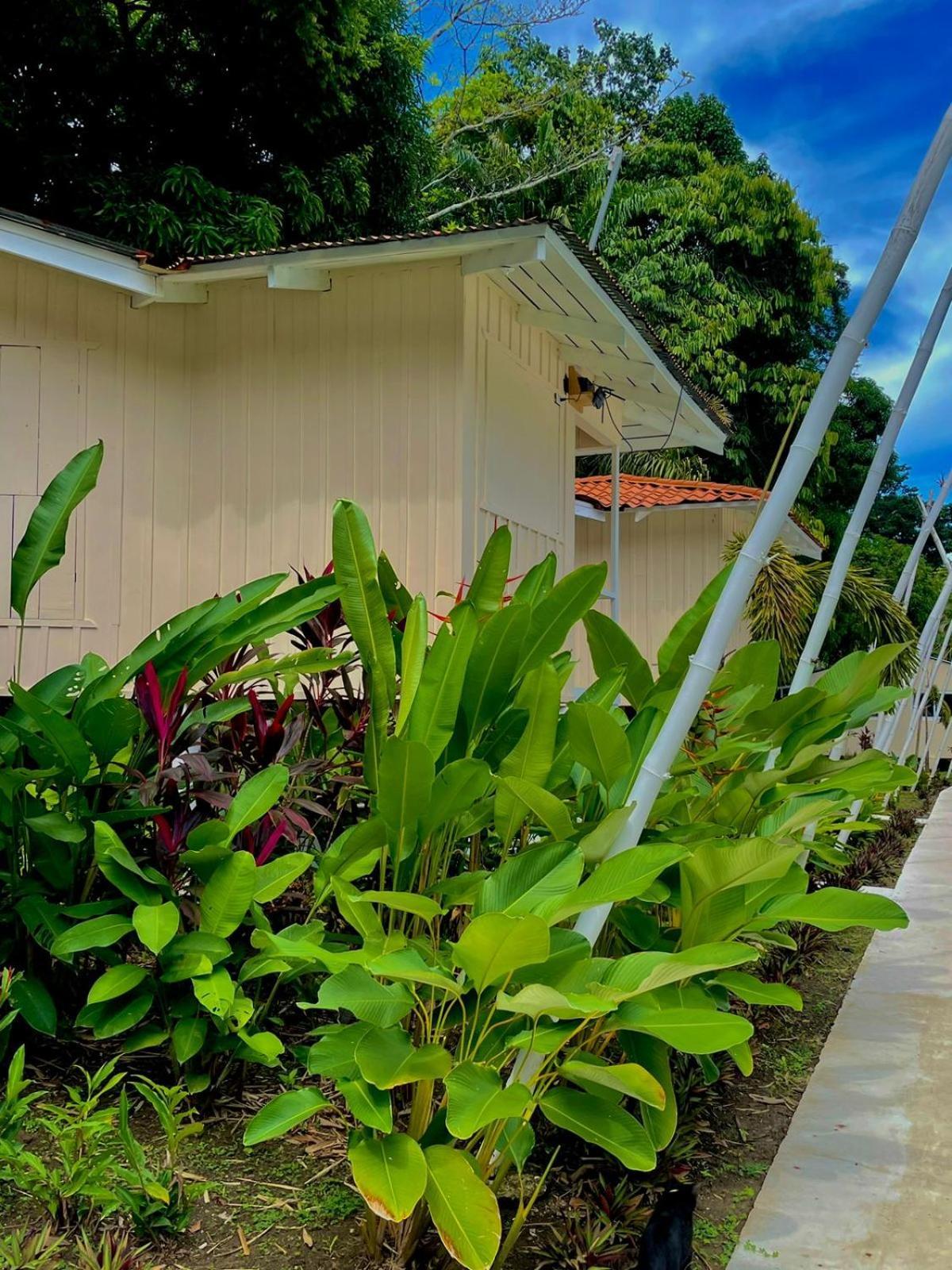 Hotel Grand Park Manuel Antonio - Adults Only Zewnętrze zdjęcie